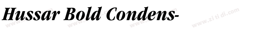 Hussar Bold Condens字体转换